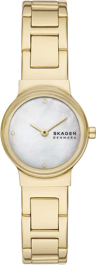�������� ���� Skagen SKW3167