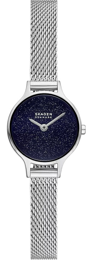 �������� ���� Skagen SKW3172