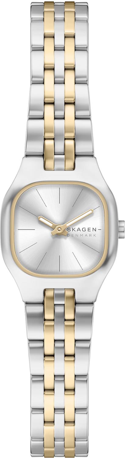 Наручные часы Skagen SKW3176