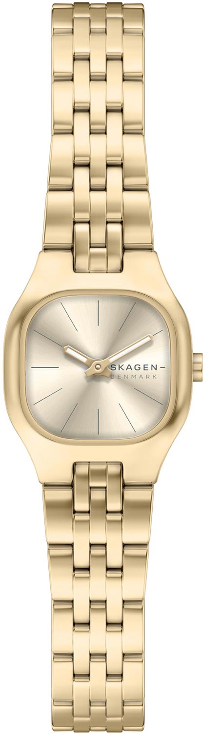 Наручные часы Skagen SKW3177