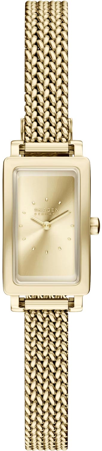 Наручные часы Skagen SKW3178