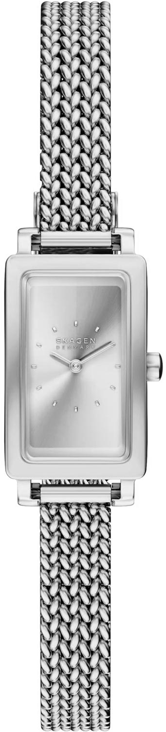 Наручные часы Skagen SKW3179