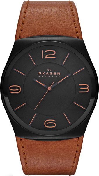 Наручные часы Skagen SKW6040