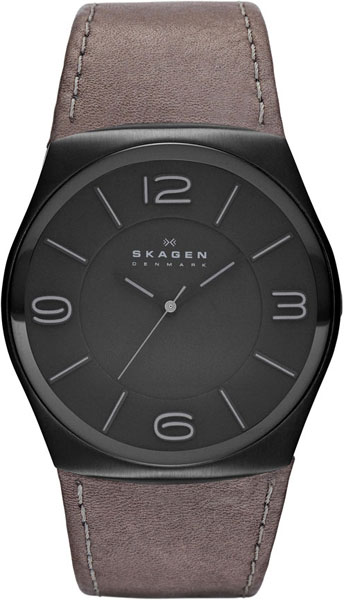 Наручные часы Skagen SKW6041