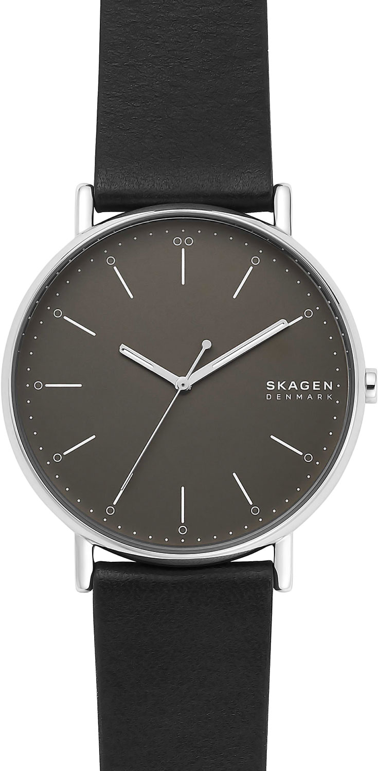 Наручные часы Skagen SKW6528