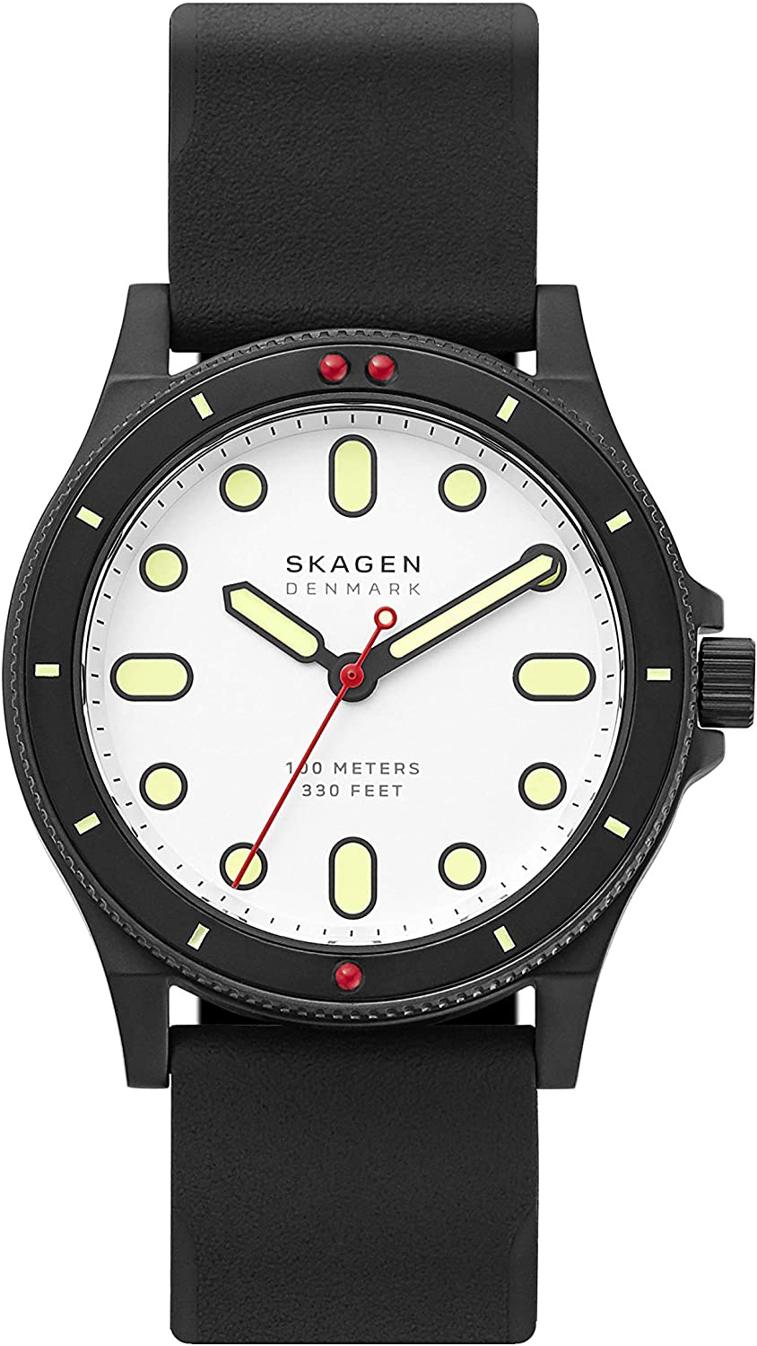   Skagen SKW6667
