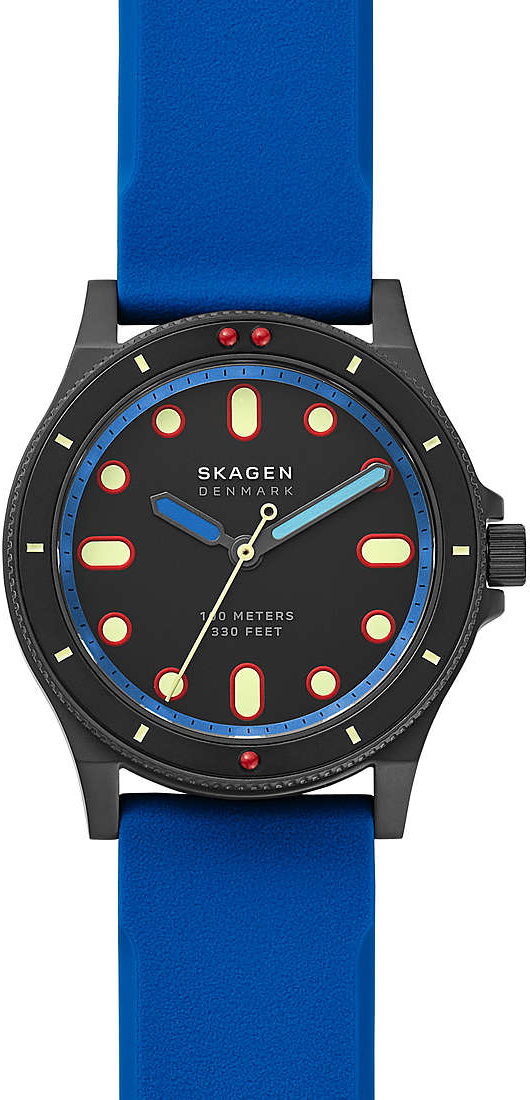 Наручные часы Skagen SKW6669