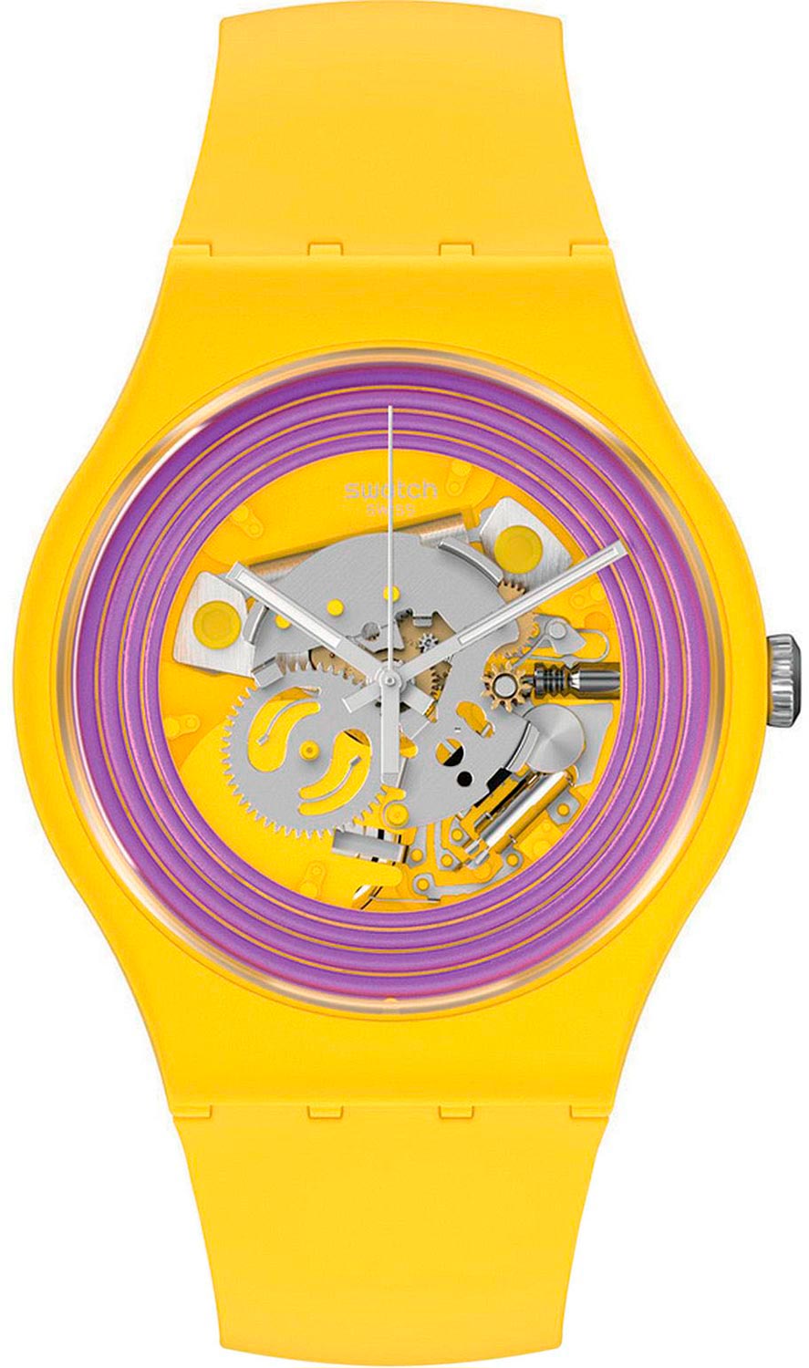   Swatch SO29J100