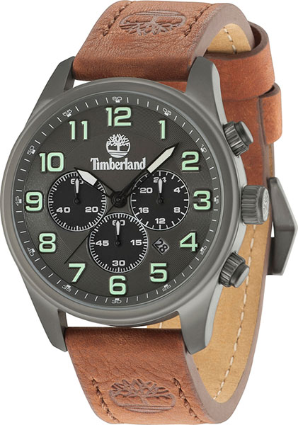 Наручные часы Timberland TBL.15014JSU/13 с хронографом