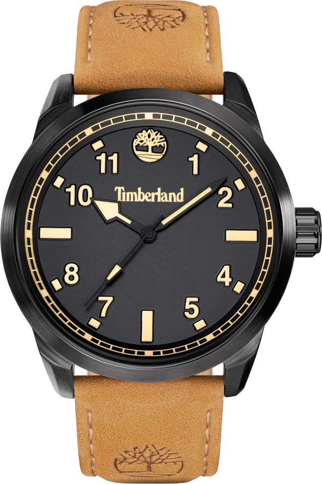 Наручные часы Timberland TDWGA0109701