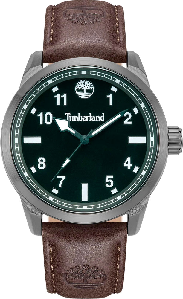 Наручные часы Timberland TDWGA0109702