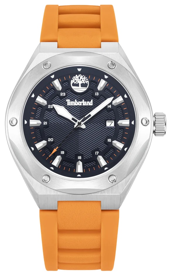 Наручные часы Timberland TDWGN0009902