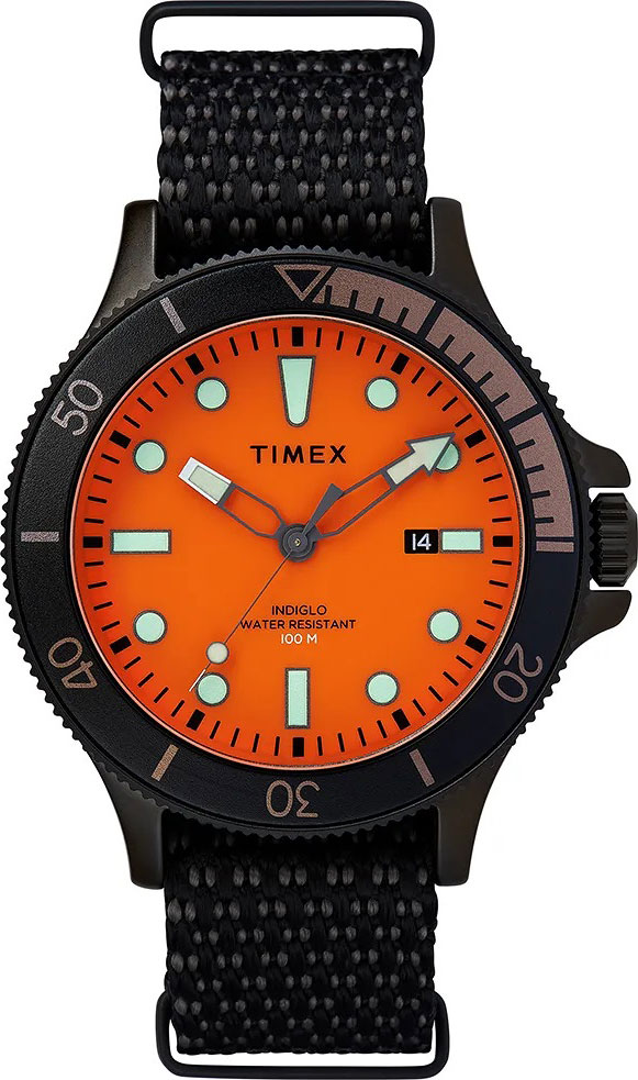   Timex TW2T30200VN