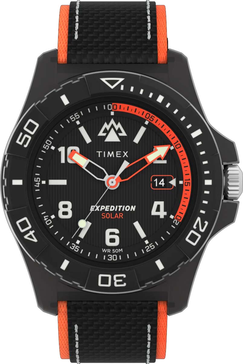 �������� ���� Timex TW2V66100