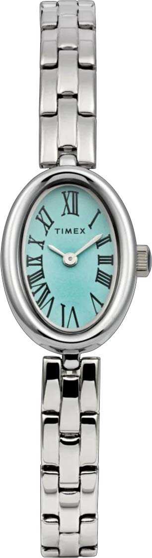 �������� ���� Timex TW2Y26600