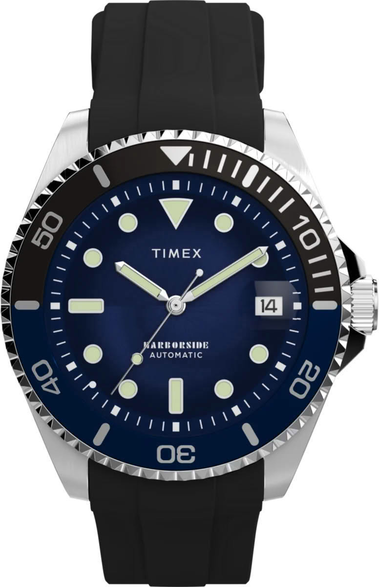 Механические наручные часы Timex TW2Y51000