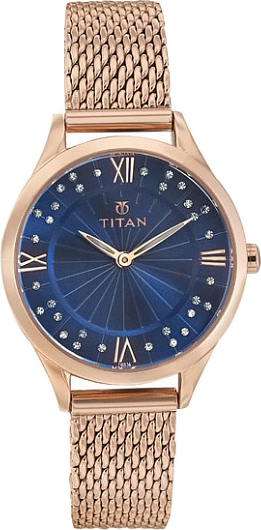   Titan 95020WM02J