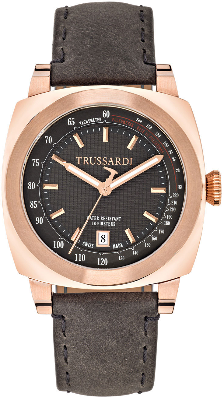 ����������� �������� ���� Trussardi R2451102001