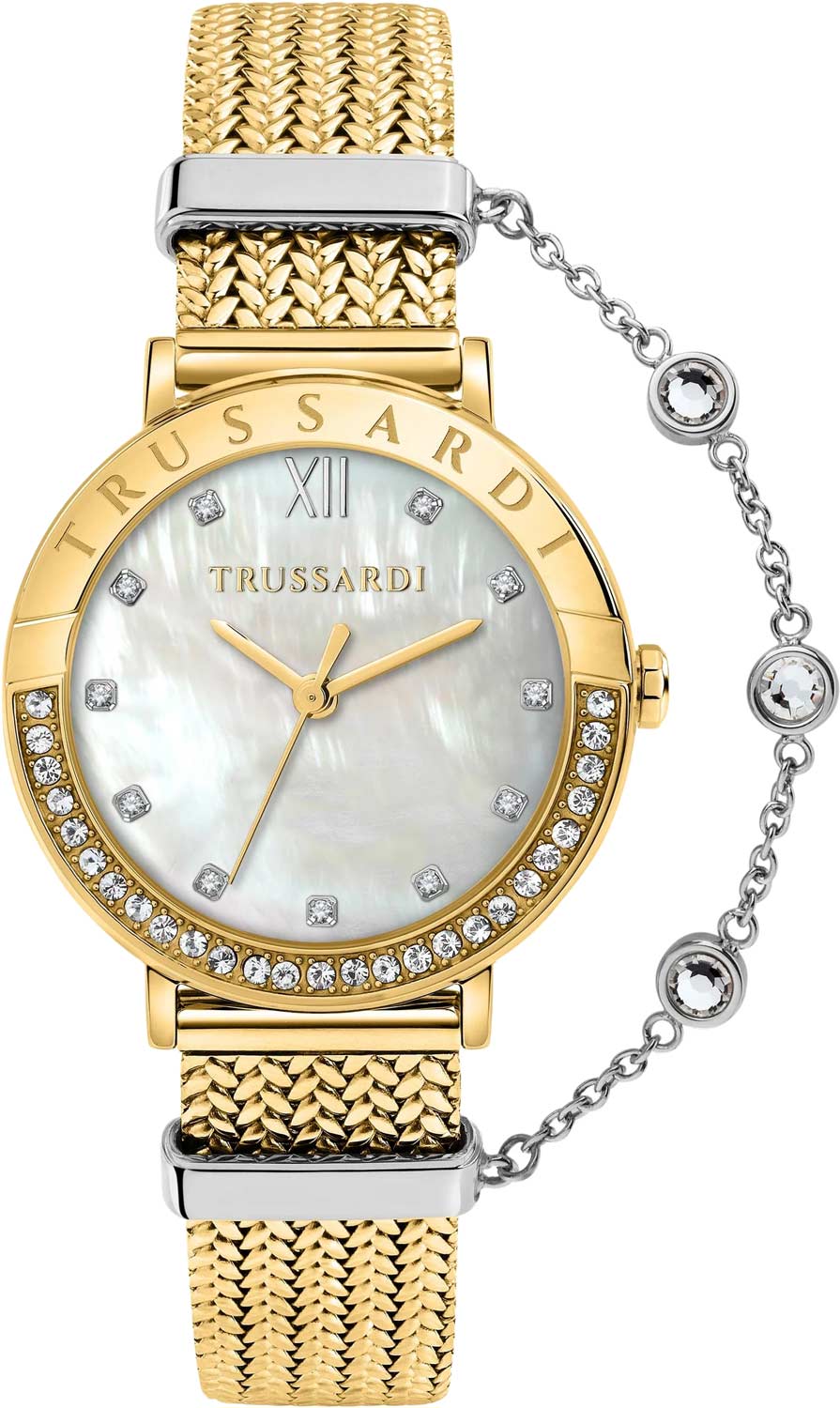   Trussardi R2453125508